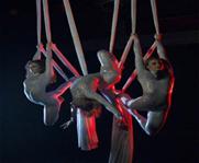 aerialists1 (16)